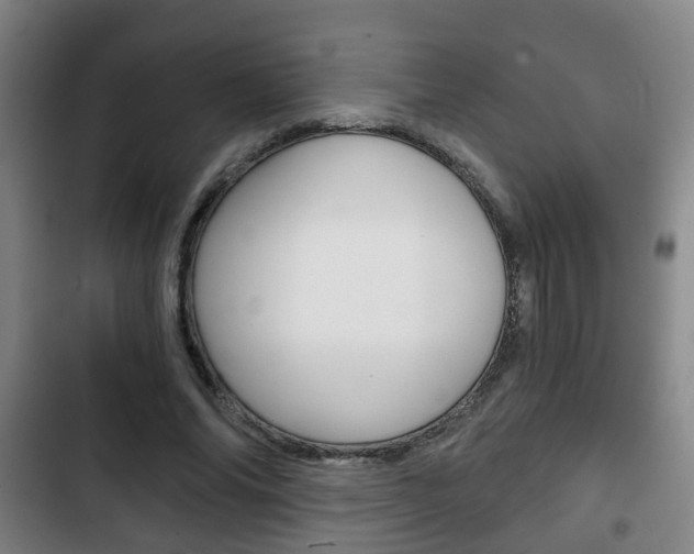 X0000103220686200808280927