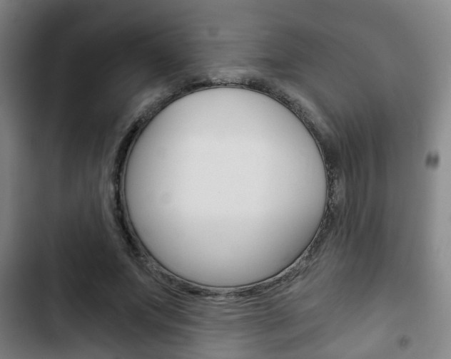 X0000103220687200808280927