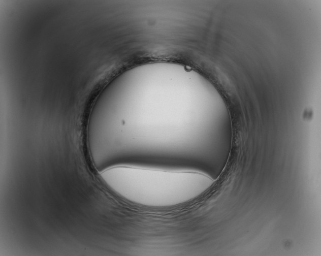 X0000103220689200808280926