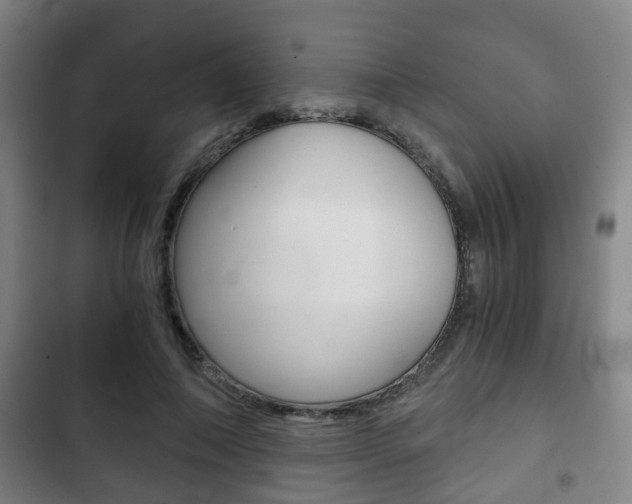 X0000103220690200808280926