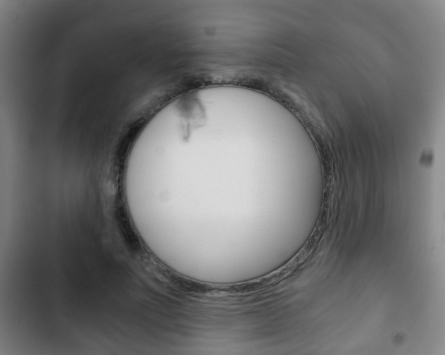 X0000103220691200808280926