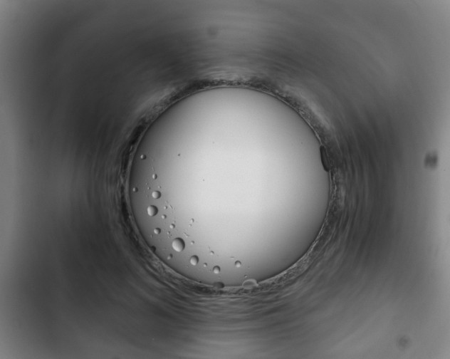 X0000103220692200808280926