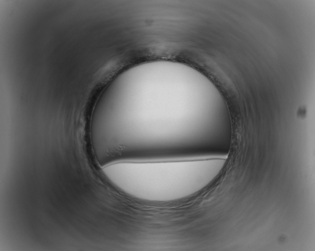 X0000103220693200808280926