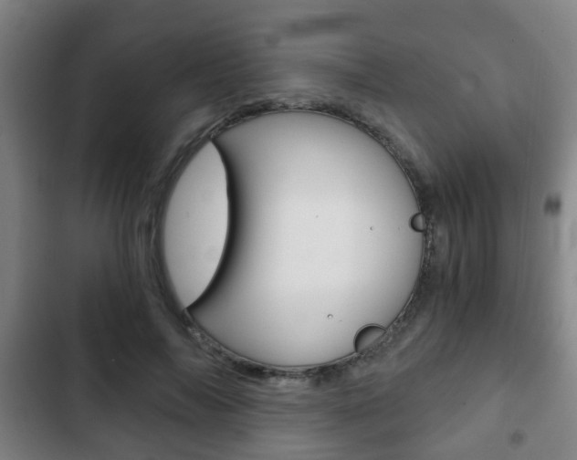 X0000103220694200808280926