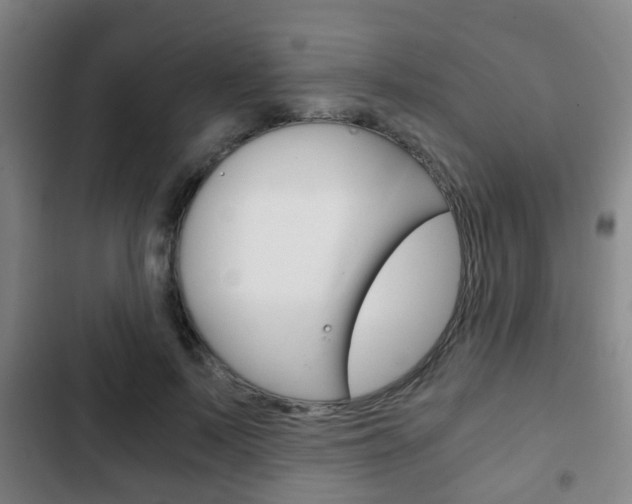 X0000103220695200808280926