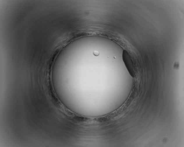 X0000103220696200808280926