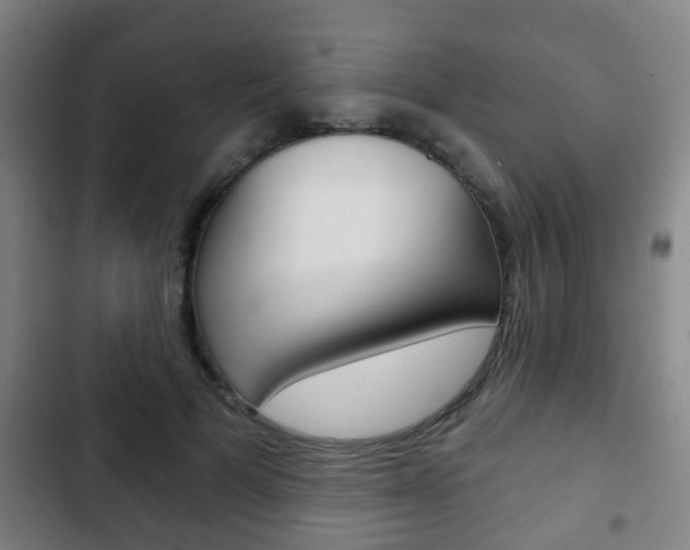 X0000103220697200808280926