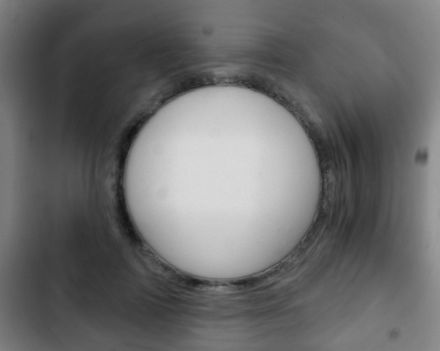 X0000103220698200808280926