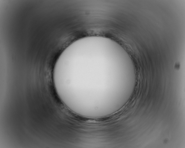 X0000103220699200808280926