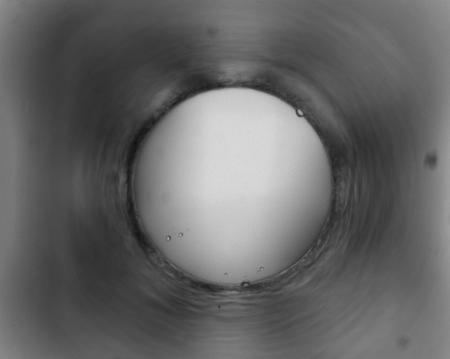 X0000103220700200808280926