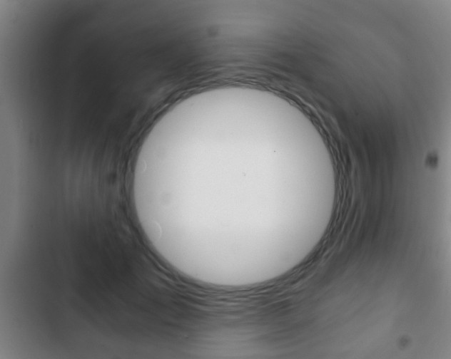 X0000103220701200808280926