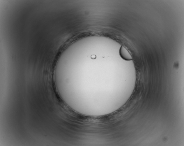 X0000103220702200808280926