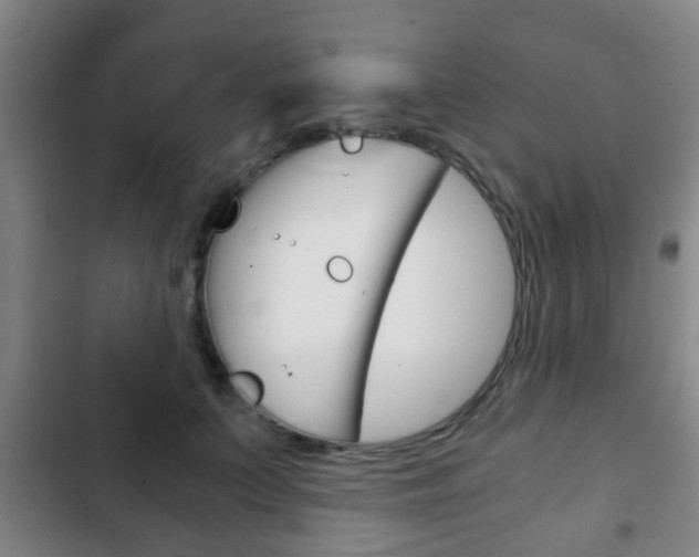 X0000103220703200808280926