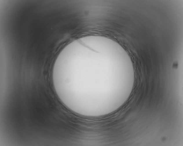 X0000103220705200808280926