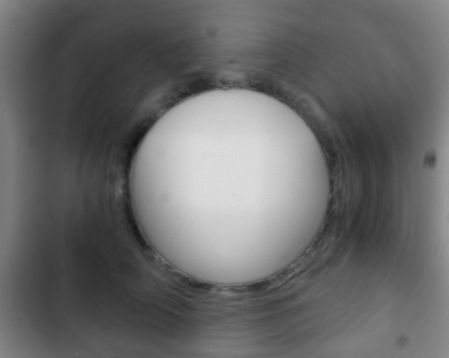 X0000103220706200808280926