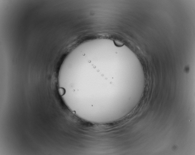 X0000103220707200808280926