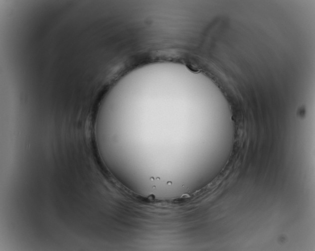 X0000103220708200808280926