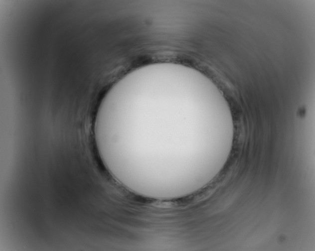 X0000103220711200808280926