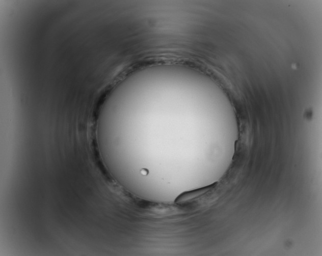 X0000103220712200808280926
