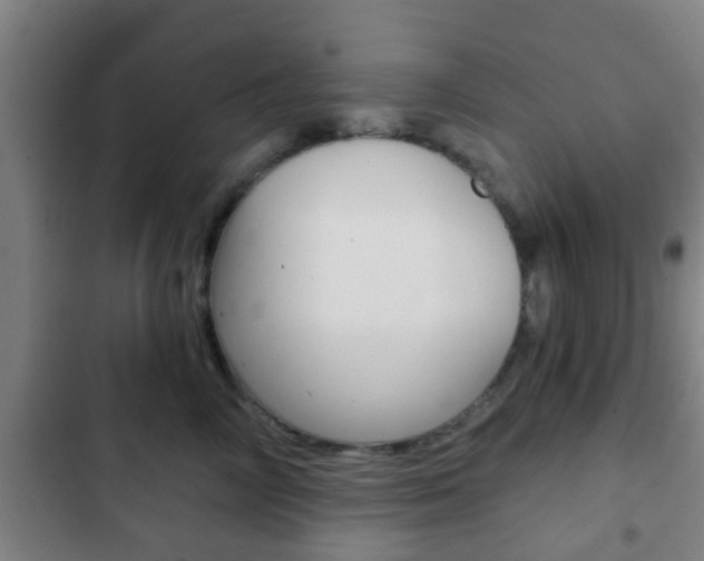 X0000103220714200808280926