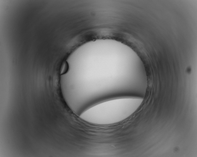 X0000103220715200808280926