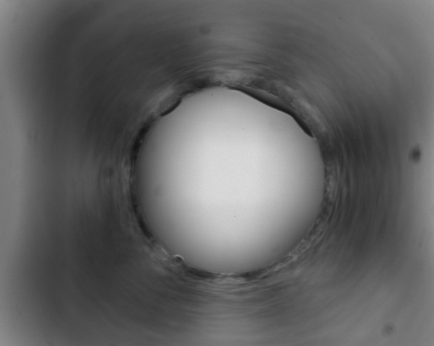 X0000103220716200808280926