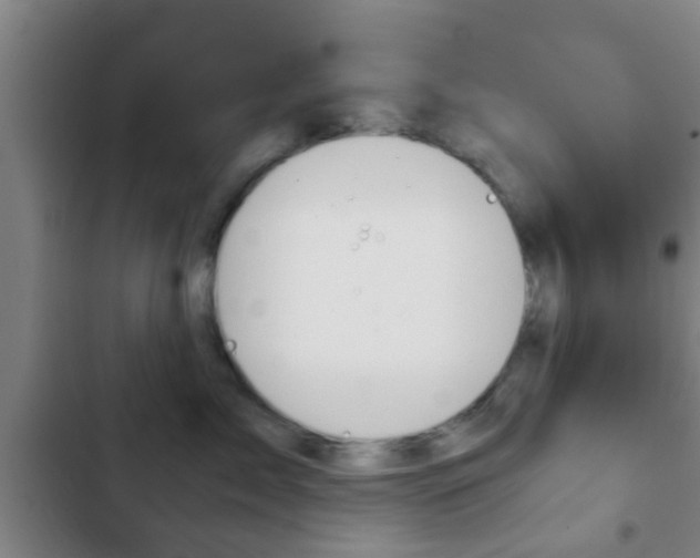 X0000103220717200808280926
