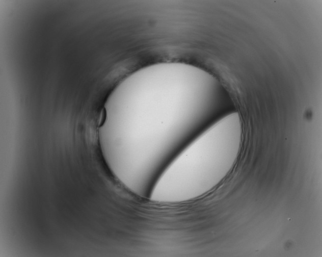 X0000103220719200808280926