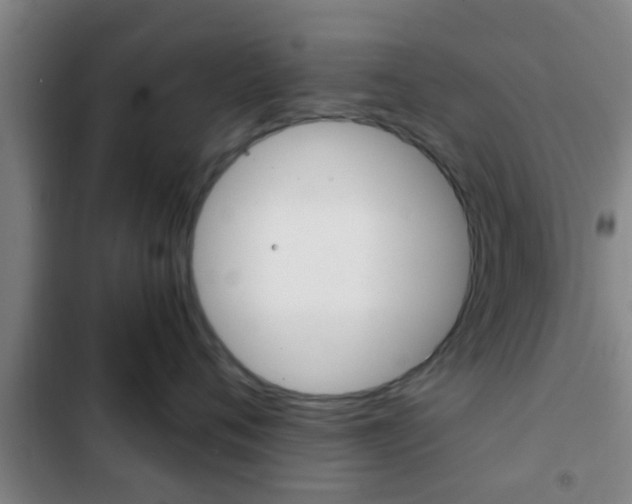 X0000103220720200808280926