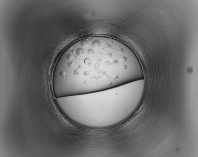 X0000103220721200808280925