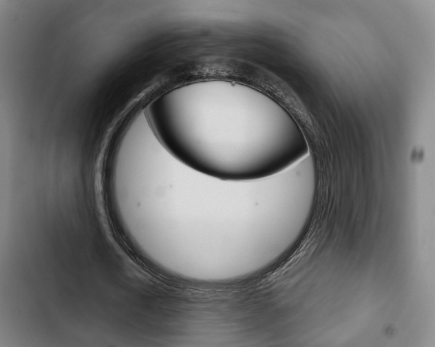 X0000103220722200808280925
