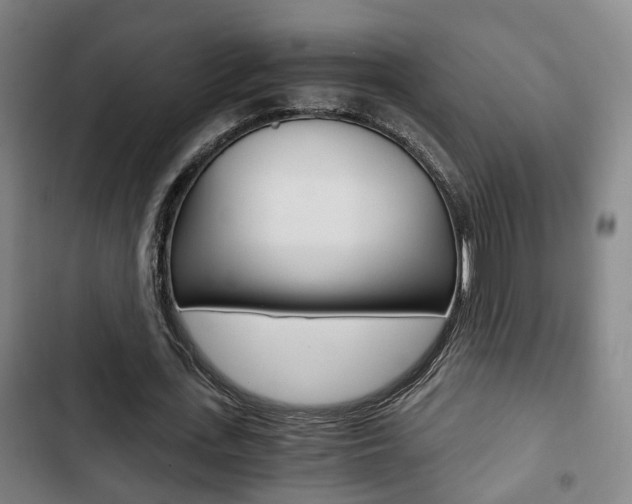 X0000103220723200808280925
