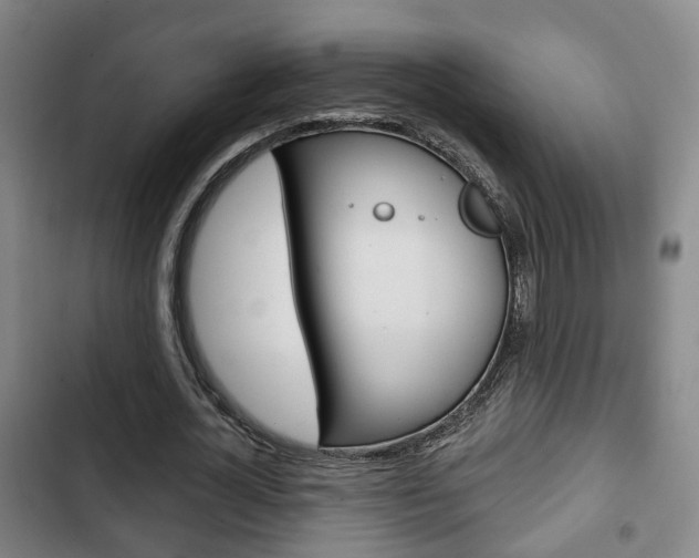X0000103220724200808280925