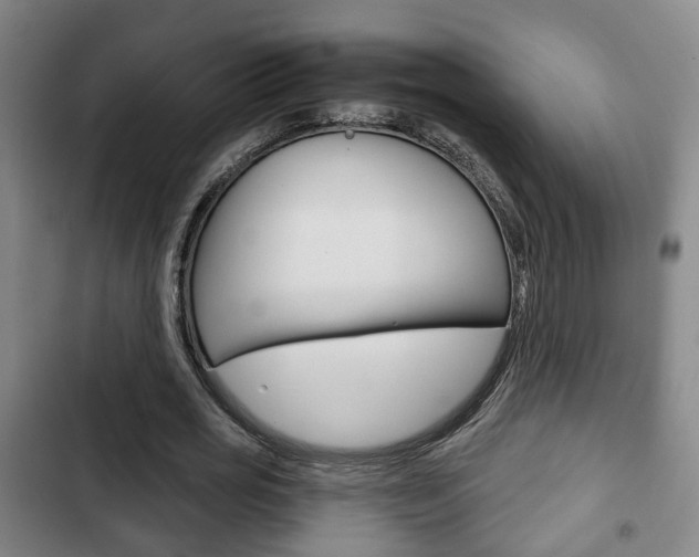 X0000103220725200808280925