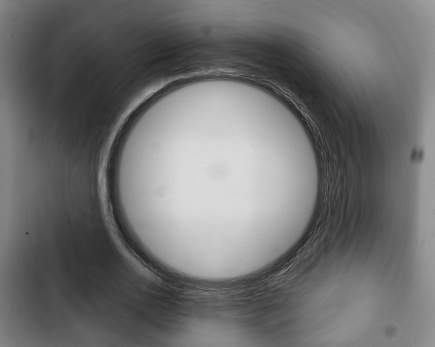 X0000103220726200808280925