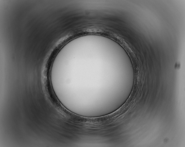 X0000103220727200808280925
