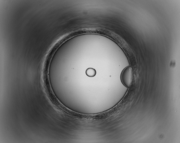 X0000103220728200808280925