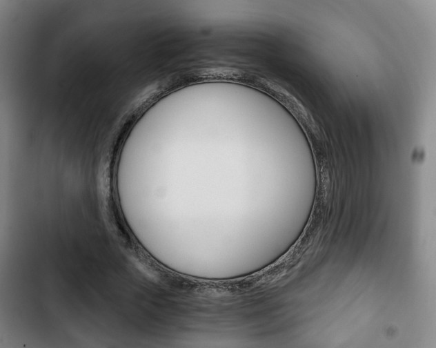 X0000103220729200808280925