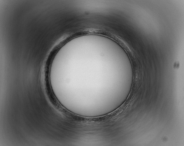 X0000103220730200808280925