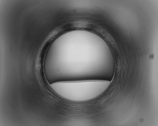 X0000103220731200808280925