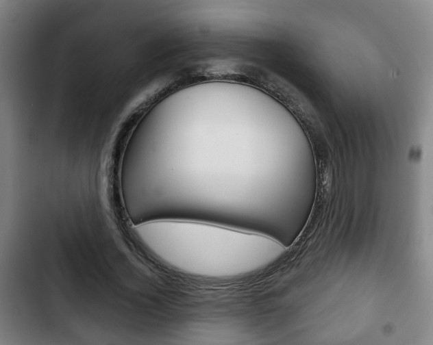X0000103220732200808280925