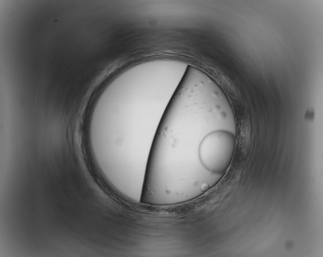 X0000103220734200808280925