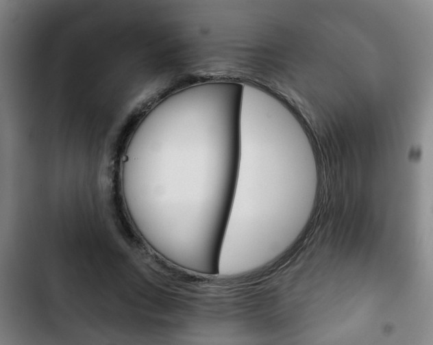 X0000103220735200808280925