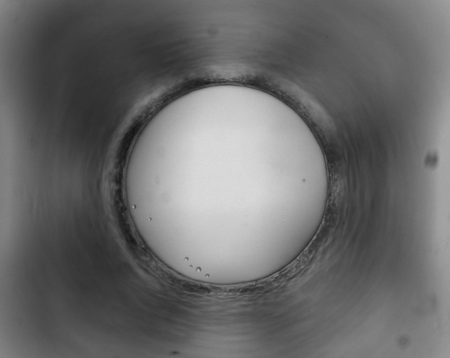 X0000103220736200808280925