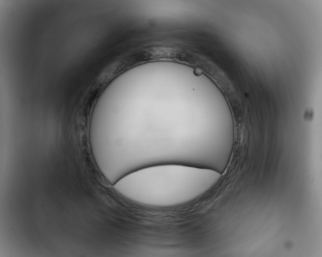 X0000103220737200808280925