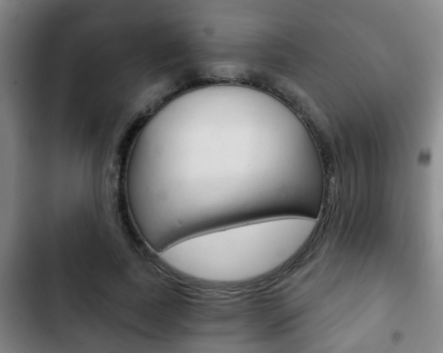 X0000103220739200808280925