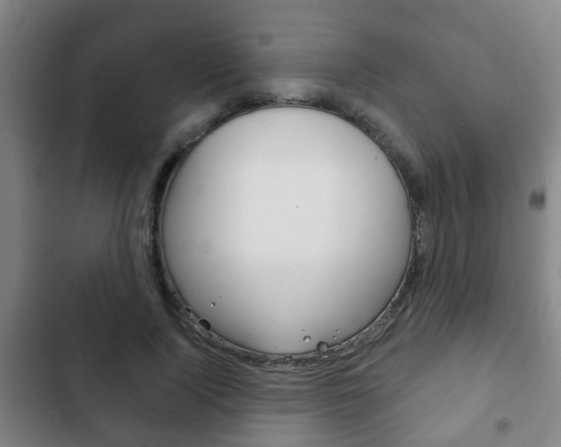 X0000103220740200808280925