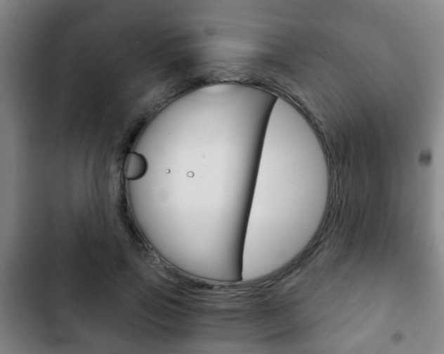 X0000103220741200808280926