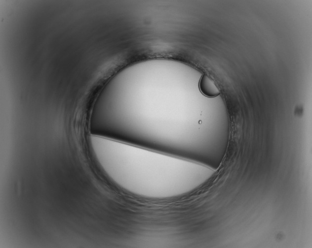 X0000103220742200808280926