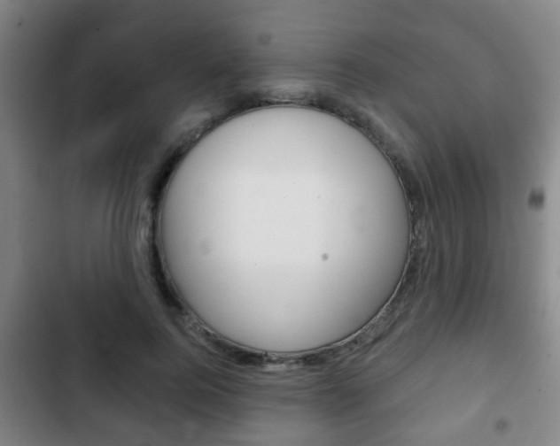 X0000103220744200808280926
